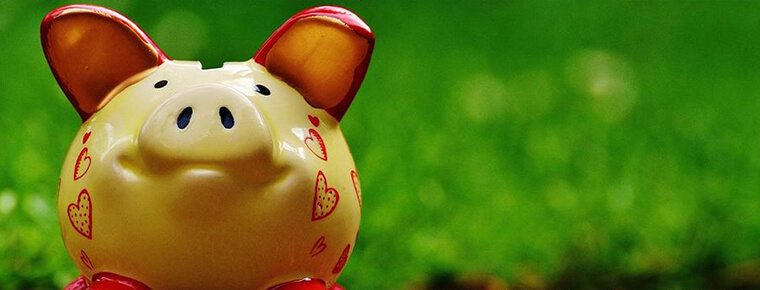 Piggy bank in a meadow