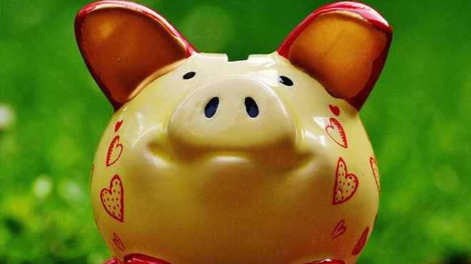 Piggy bank in a meadow