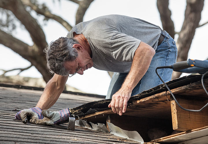 Individual with glasses in grey t-shirt and jeans bending over on top of their home's rooftop to inspect and remove roof rot.