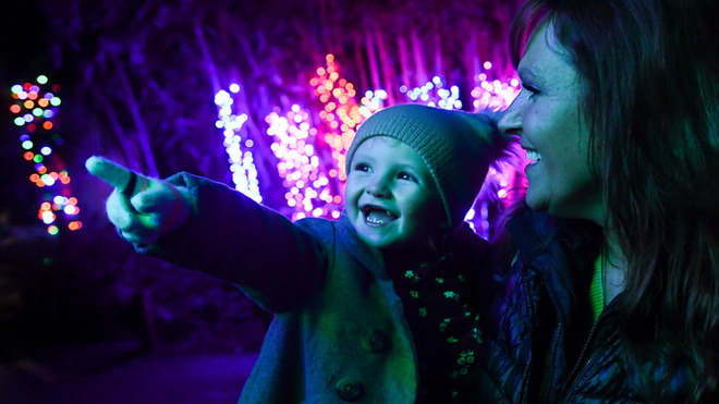 A woman and her child looking at the Zoolights event.