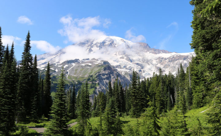 A Scenic view of Mt. Rainer, snow-covered, and surrounded by lush green trees. 