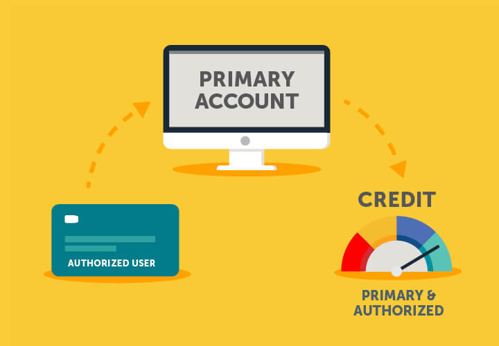 Does An Authorized User Get Their Own Credit Score? Leia Aqui: How Much ...